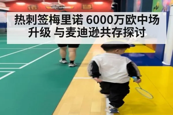 热刺签梅里诺 6000万欧中场升级 与麦迪逊共存探讨